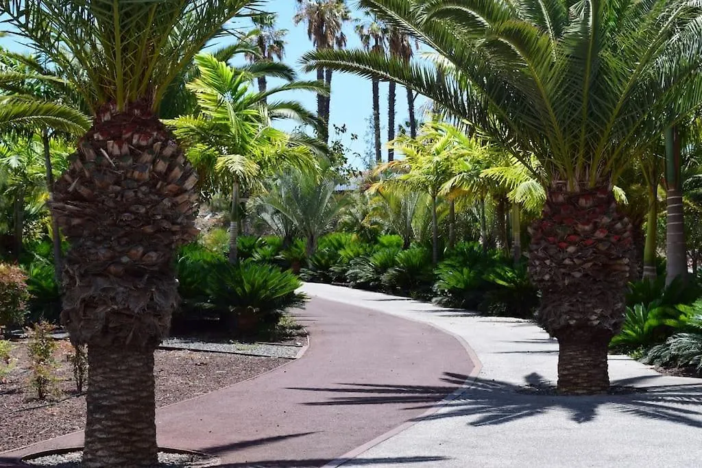 Family Comfortable Apartment Arona  0*, Arona (Tenerife)